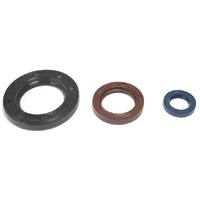 Athena Engine Seal Kit 43.P400270400031