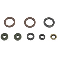 Athena Engine Seal Kit 43.P400270400062