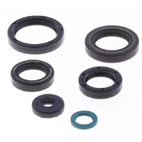 Athena Engine Seal Kit for TM EN/MX 300 2015-2018