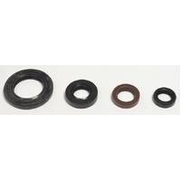 Athena Engine Seal Kit 43.P400485400056