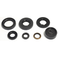 Athena Engine Seal Kit 43.P400485400087