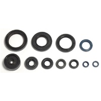 Athena Engine Seal Kit 43.P400485400115-1