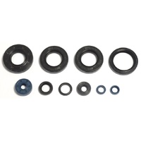 Athena Engine Seal Kit 43.P400485400118