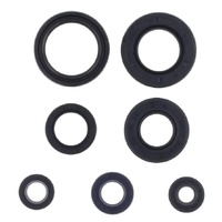 Athena Engine Seal Kit 43.P400485400205