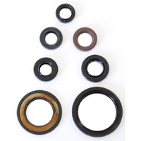 Athena Engine Seal Kit 43.P400485400216