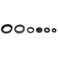 Athena Engine Seal Kit 43.P400510400045