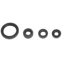 Athena Engine Seal Kit 43.P400510400069