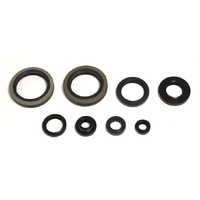 Athena Engine Seal Kit 43.P400510400252