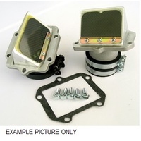 Athena RAD Valve Intake for Honda CR250/R 2001-1998