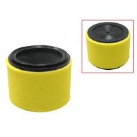 Psychic Air Filter for Arctic Cat WILDCAT SPORT LTD/XT/TRAIL LTD 2015-2018