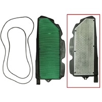 Psychic Air Filter for Honda SXS1000 PIONEER 2016-2024