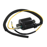 Bronco Ignition Coil 56.AT-01307