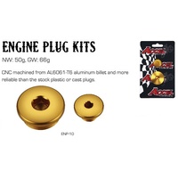 Accel Gold Engine Plug Kit 58.ENP-10