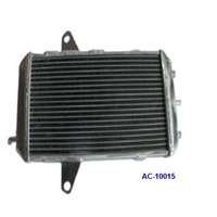 Psychic Radiator 67.AC-10015 Oversized Core 34mm