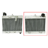 Psychic Radiator 67.XD-10082 Standard