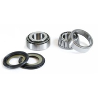 Pro X Steering Bearing Kit for Beta ZX1000 2004-2009