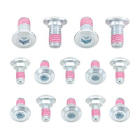 Bolt Disc Bolt Kit BLT2009SRTR125250