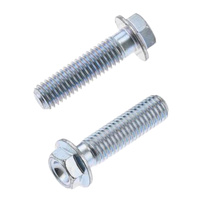 Bolt Hex Flange Bolts 8x1.25x30mm (Pack of 10)