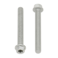 Bolt Euro Torx 6x20mm Flange Bolt (Pack of 10)