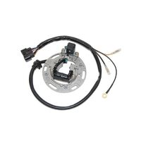 Stator for Kawasaki KX100 2001-2005 >ESC1366