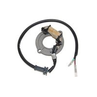 Stator for Honda CR85R Big Wheel 2003-2004 >ESC1631