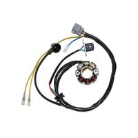 Stator for Suzuki RMZ250 2005-2006 >ESL740