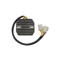 Electrosports Regulator ESR170