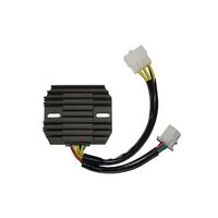Electrosports Regulator ESR210