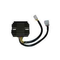 Electrosports Regulator ESR250