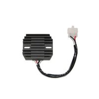 Electrosports Regulator ESR360