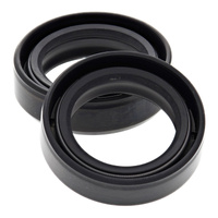WRP 55-100 Fork Oil Seals
