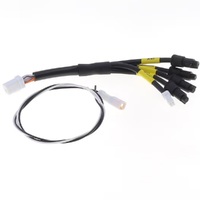 GET SL1 Expansion cable (CAN + 3 AN + 1 Digital output)