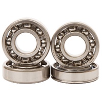 Hot Rods H-BBK0008 Counter Balance Kit