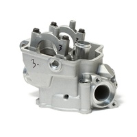 Hot Rods Cylinder Head for Honda CRF250R 2009