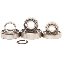 Hot Rods Transmission Bearing Kit for Kawasaki KX100 2001-2004