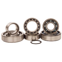 Hot Rods H-TBK0050 Transmission Bearing Kit