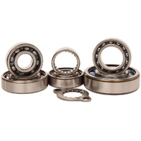 Hot Rods H-TBK0056 Transmission Bearing Kit