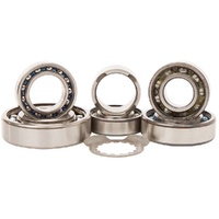 Hot Rods Transmission Bearing Kit for Yamaha YFM700R RAPTOR 2006-2020