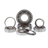 Hot Rods Transmission Bearing Kit for Honda TRX450ER SPORTRAX 2004-2005