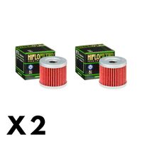 2 Pack Hiflo Oil Filter for Hyosung GT250 Naked 2002-2009