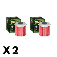 2 Pack Hiflo Oil Filter for Daelim VS125 Cruiser 2001-2003