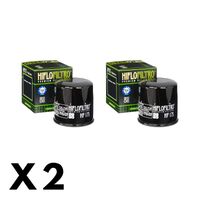 2 Pack Hilfo Filtro Oil Filter HF175