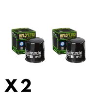 2 Pack Hiflo Oil Filter for CF Moto 650NK LAMS 2018-2022