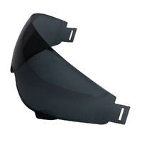 RXT Visor suit FS X2 AG X/Warrior 2 Tint