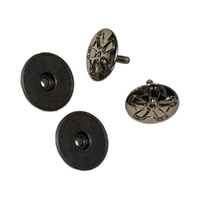 RXT Visor Screw Set suit Safari