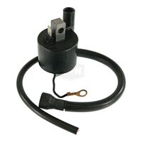 J&N Ignition Coil 16001055 (IYA0001)