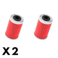 2 Pack K&N Oil Filter for Beta RR525 4T 2005-2009 (KN155)