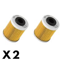 2 Pack K&N Oil Filter for Beta RR450 4T 2005-2009 (KN157)