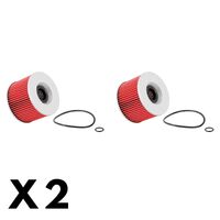 2 Pack K&N Oil Filter KN-192