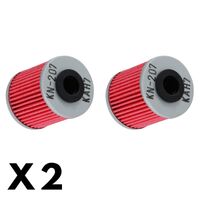 2 Pack K&N Oil Filter for Beta EVO 4T 300 2009-2012